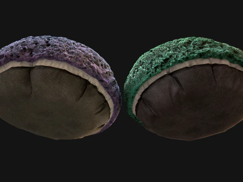 Cuccia per Cani e Gatti Soffice poltrona per Animali Modello 3D