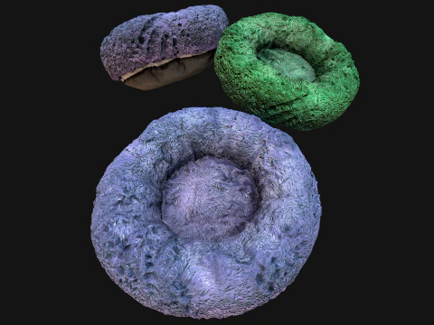 Cuccia per Cani e Gatti Soffice poltrona per Animali Modello 3D