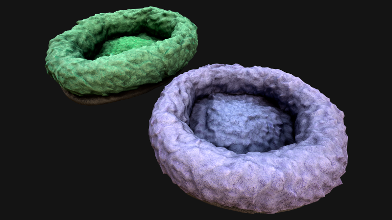 Bed for Pet Rodent Hamster Dog Cat Modelo 3D .c4d .max .obj .3ds .fbx .stl .blend