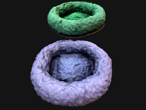 Bed for Pet Rodent Hamster Dog Cat Modelo 3D