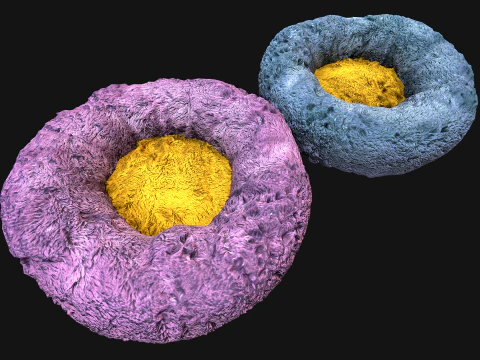 Bed Pet Chair for Cats and Dogs Furniture 3D Model