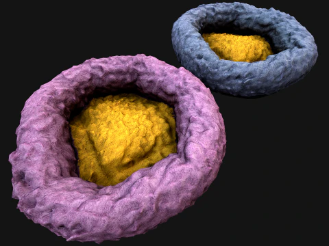 애완동물 설치류 햄스터 개 고양이용 침대 3D 모델