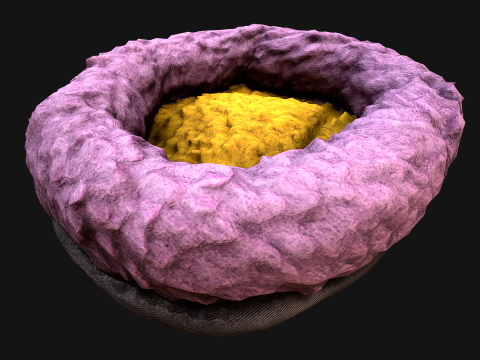 Bed for Pet Rodent Hamster Dogs Cats 3D Model