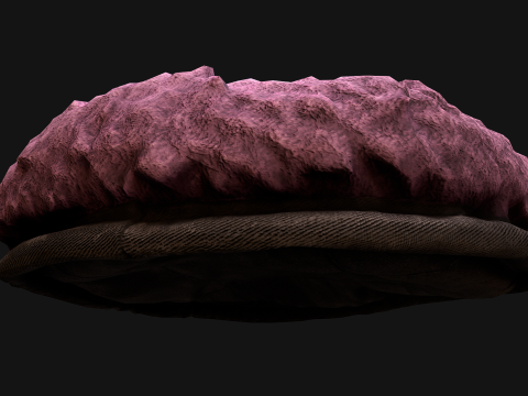 Bed for Pet Rodent Hamster Dogs Cats 3D Model
