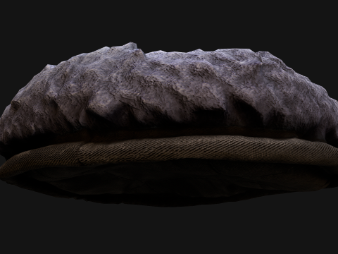 Bed for Pet Rodent Hamster Dogs Cats 3D Model