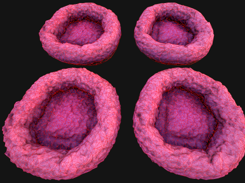 Bed for Pet Hamster Rodent Rat 3D Model