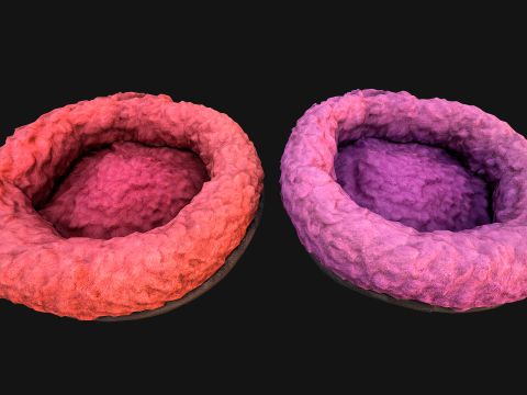 Bed for Pet Hamster Rodent Rat 3D Model
