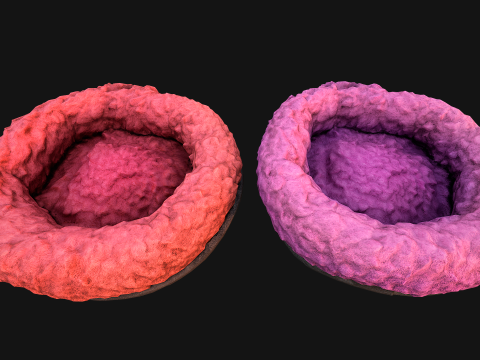 Bed for Pet Hamster Rodent Rat 3D Model