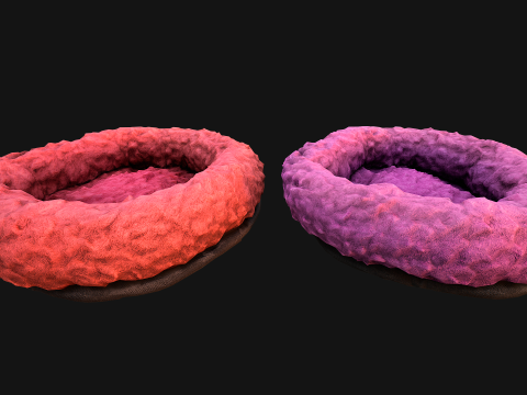 Bed for Pet Hamster Rodent Rat 3D Model
