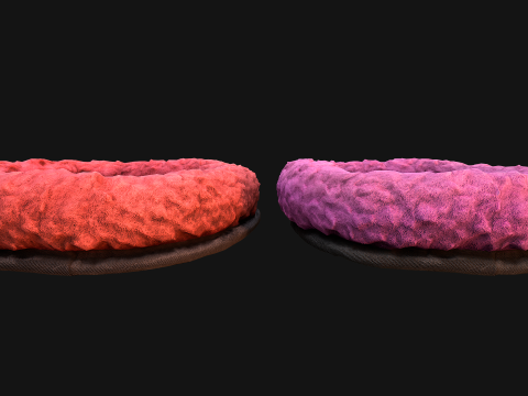 Bed for Pet Hamster Rodent Rat 3D Model