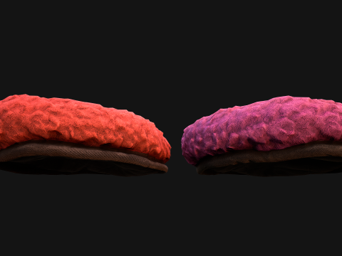 Bed for Pet Hamster Rodent Rat 3D Model