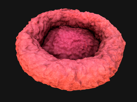 Bed for Pet Hamster Rodent Rat 3D Model