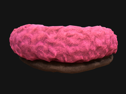 Bed for Pet Hamster Rodent Rat 3D Model