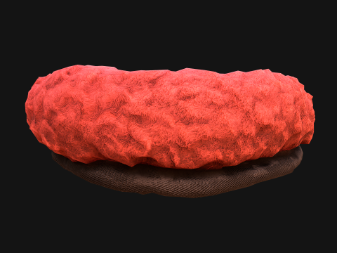 Bed for Pet Hamster Rodent Rat 3D Model