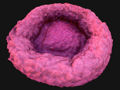 Bed for Pet Hamster Rodent Rat 3D Model