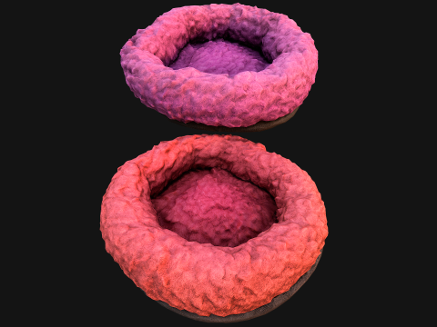 Bed for Pet Hamster Rodent Rat 3D Model