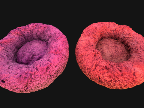 Pouf Chair Bed for Pet Cat Dog 3D Model