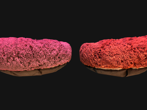 Pouf Chair Bed for Pet Cat Dog 3D Model