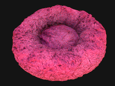 Pouf Chair Bed for Pet Cat Dog 3D Model