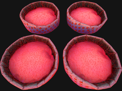 Pet Bed for Cats and Dogs with Strawberry Print 3D Model