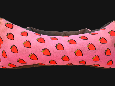 Dog Cat Pet Bed Strawberry Print Model 3D