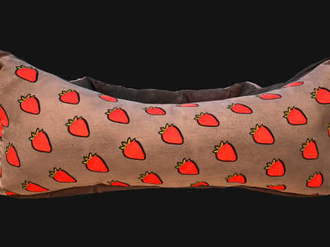 Dog Cat Pet Bed Strawberry Print Model 3D