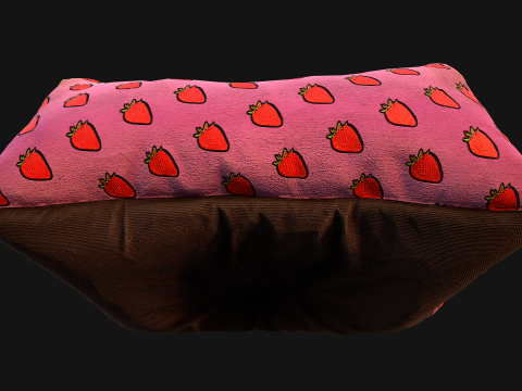 Dog Cat Pet Bed Strawberry Print Model 3D
