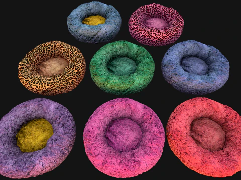 Кровать для домашних животных, кошек, собак, мебель для зоопарка 3D Модель