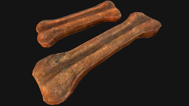 Bone Treat Food for Dog and Cat 3D 模型 .c4d .max .obj .3ds .fbx .stl .blend