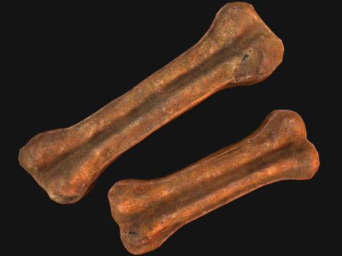 Bone Treat Food for Dog and Cat 3D Model