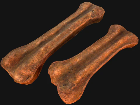 Bone Treat Food for Dog and Cat 3D Model