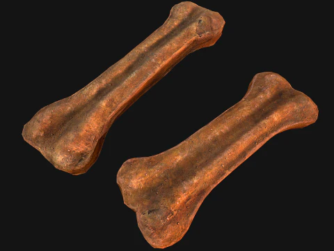 Bone Treat Food for Dog and Cat 3D Model