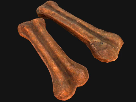 Bone Treat Food for Dog and Cat 3D Model
