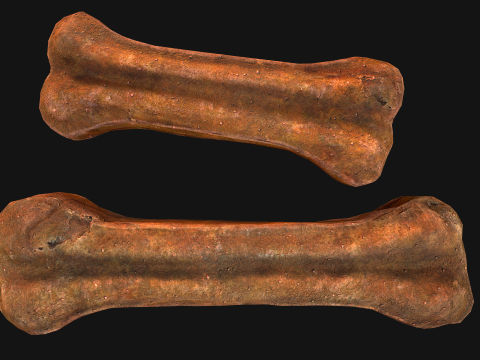 Bone Treat Food for Dog and Cat 3D 模型