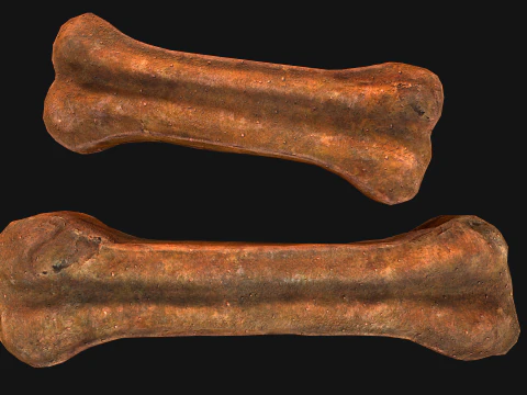 Bone Treat Food for Dog and Cat 3D Model
