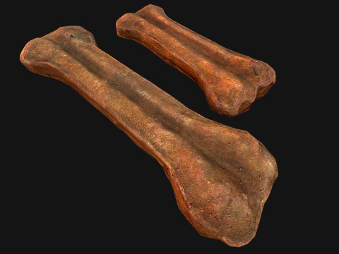 Bone Treat Food for Dog and Cat 3D Model