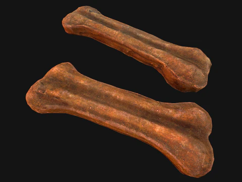 Bone Treat Food for Dog and Cat 3D Model