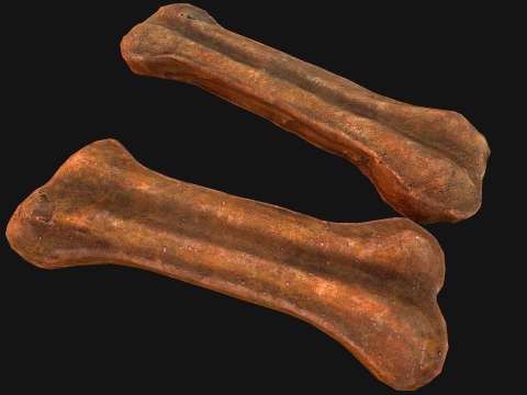 Bone Treat Food for Dog and Cat 3D 模型