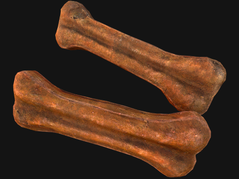 Bone Treat Food for Dog and Cat 3D 模型