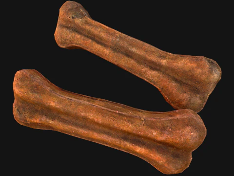 Bone Treat Food for Dog and Cat 3D Model