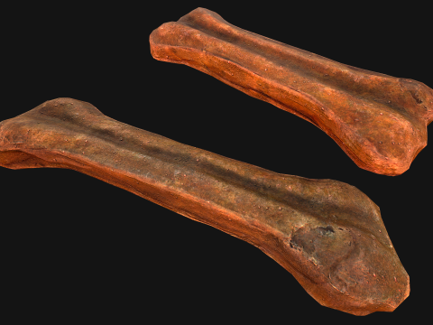Bone Treat Food for Dog and Cat 3D 模型