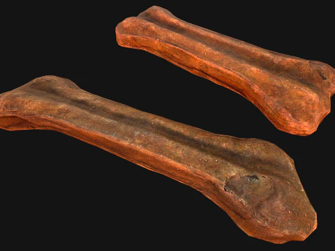 Bone Treat Food for Dog and Cat 3D Model