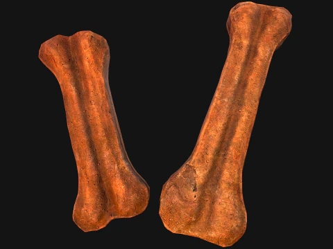 Bone Treat Food for Dog and Cat 3D Model