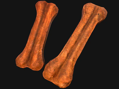 Bone Treat Food for Dog and Cat 3D Model