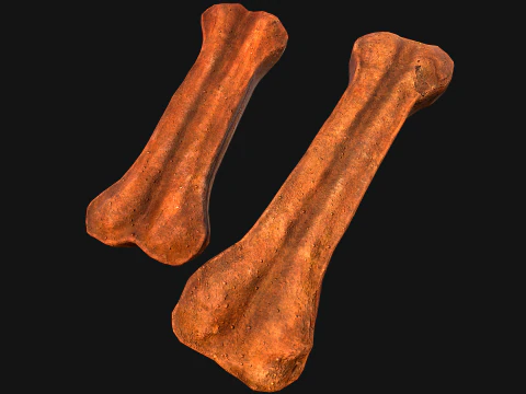 Bone Treat Food for Dog and Cat 3D Model