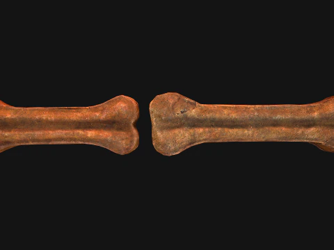Bone Treat Food for Dog and Cat 3D Model