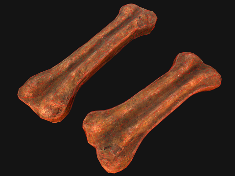 Bone Treat Food for Dog and Cat 3D 模型