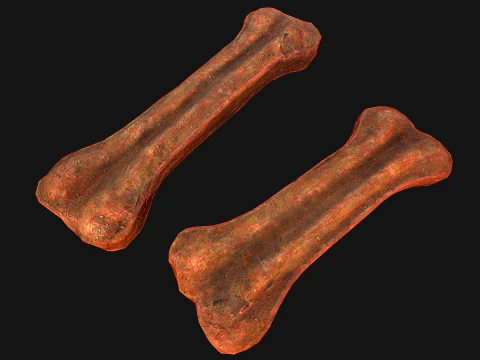 Bone Treat Food for Dog and Cat 3D Model