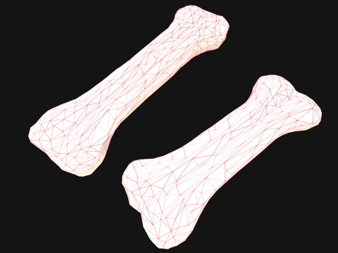 Bone Treat Food for Dog and Cat 3D Model