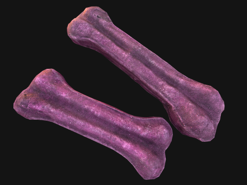 Pet Dog Gnawing Bone Treat Cookie Pack Modèle 3D